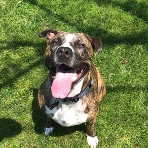 Meet your Posher, Alex